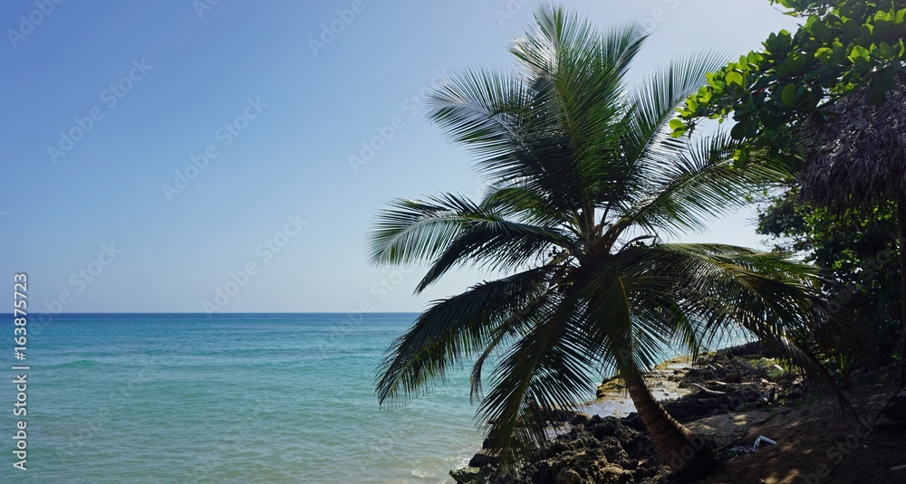 playa grande playa grande