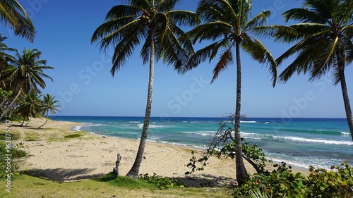 Fototapeta Naklejka Na Ścianę i Meble -  tropical hideaway beach