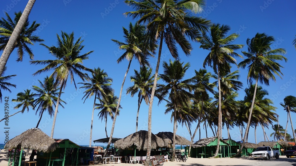 Naklejka premium caribbean beach
