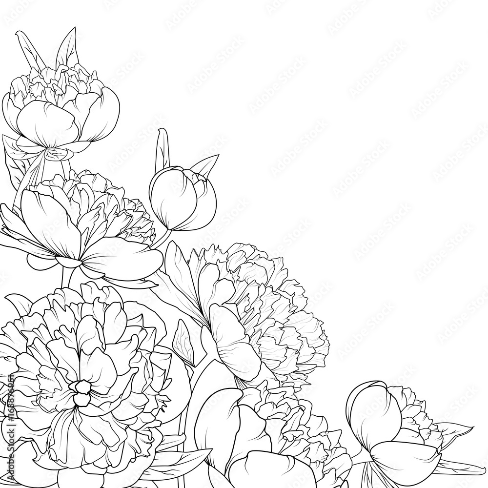 Peony rose garden spring summer flowers black and white detailed