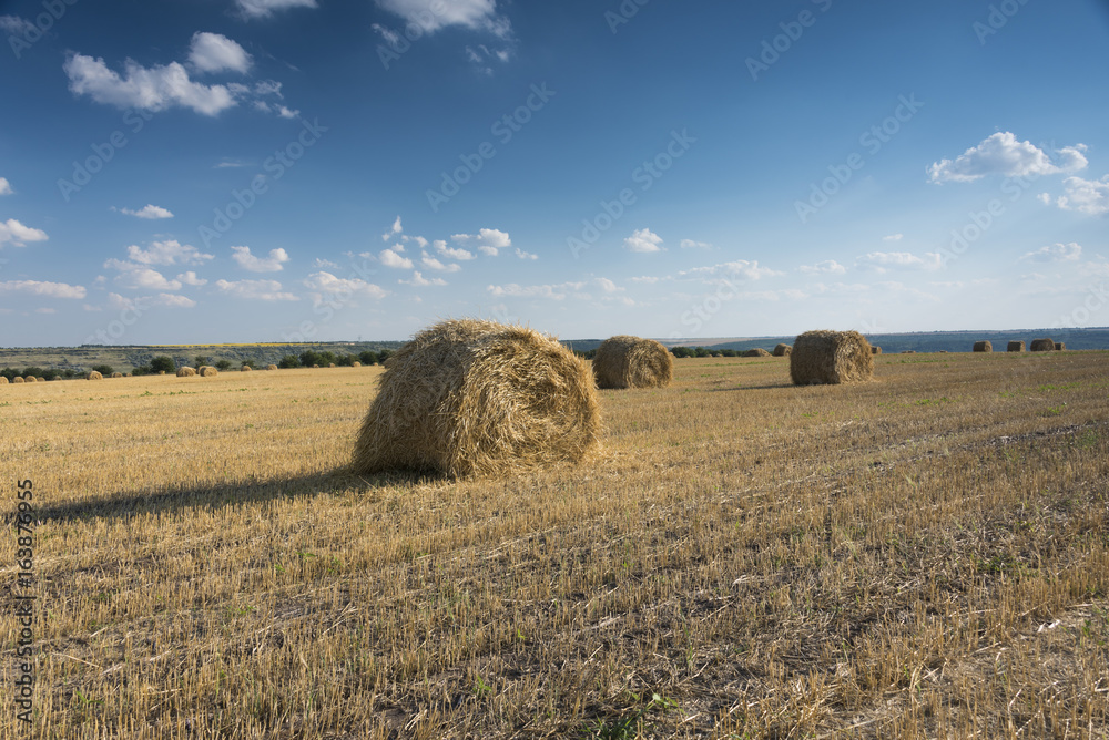 Beautiful agricultural landscape with straw bales