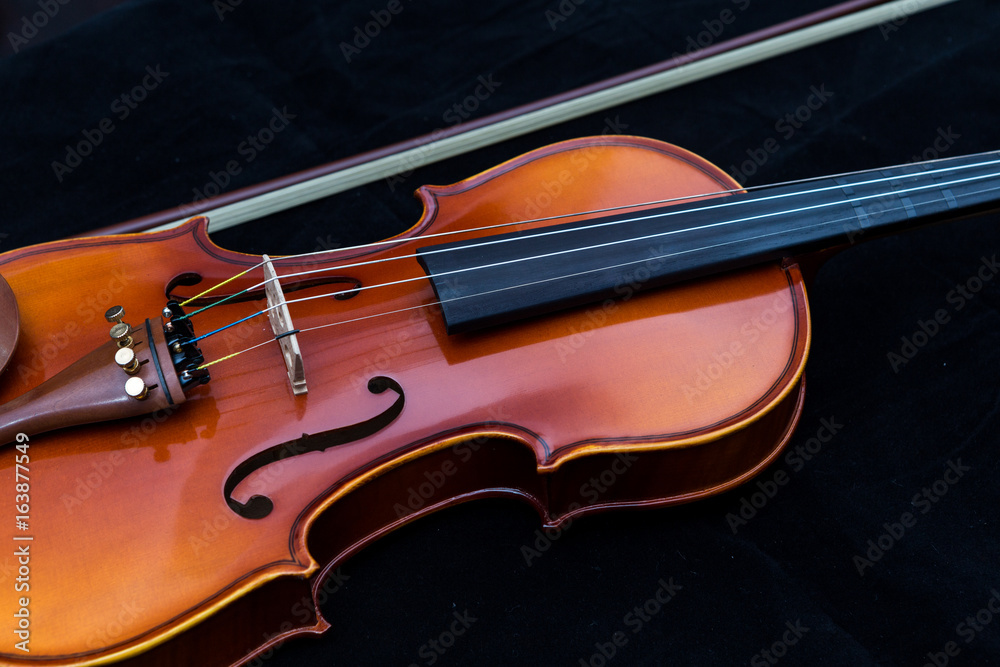 Fototapeta premium close-up violin