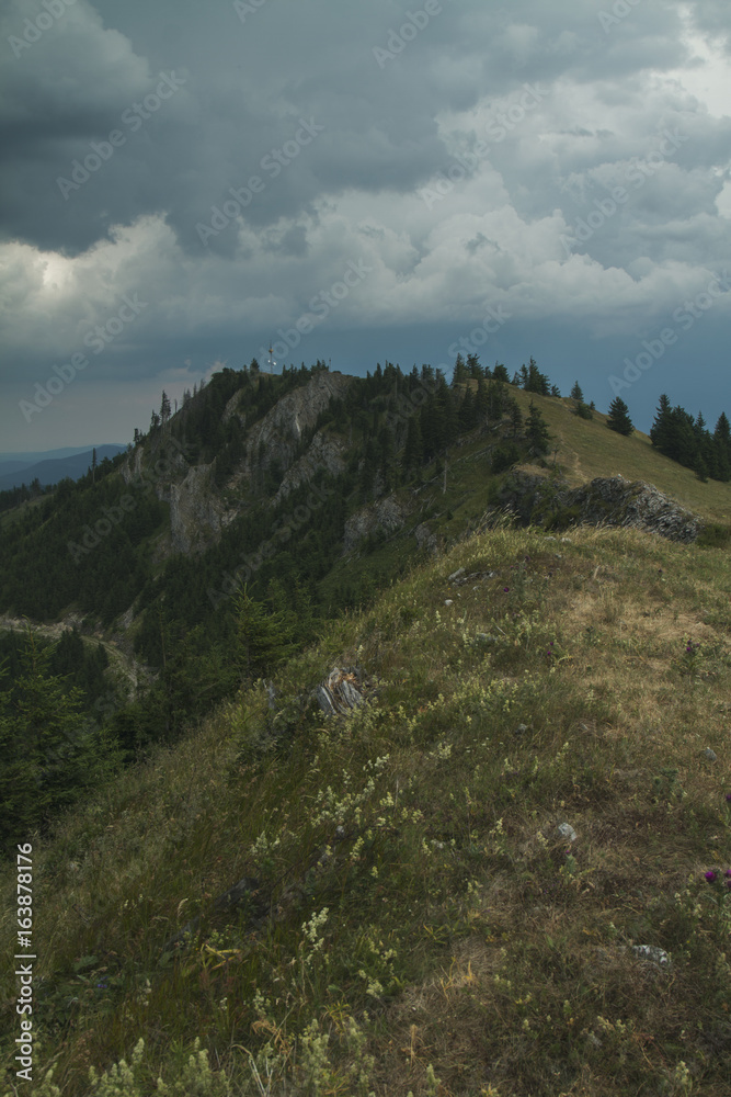 Hiking path on mountain ridge with beautiful mountain scenery after thunderstorm and rain and some trees and the cross of the summit in background; Unterberg/Lower Austria/Austria/Europe