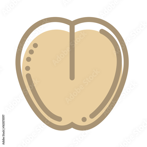 Healthy organic buckwheat sead isolated flat outline illustration