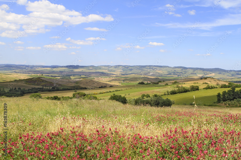 Val d'Orcia in Tuscany, Italy