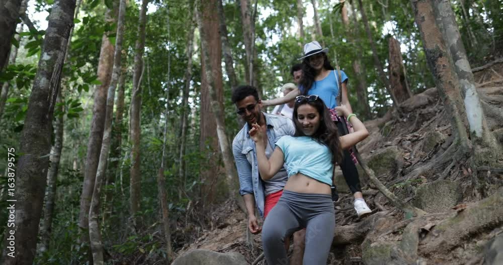 Group Of Tourists Walking Downhill Through Woods On Hike, Diverse People Trekking Forest Path Together Slow Motion 60 Group Of Tourists Walking Downhill Through Woods On Hike, Diverse People Trekking Forest Path Together Slow Motion 60