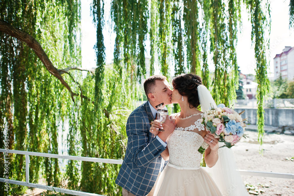 Naklejka premium Newlywed standing in the park under the willow and holding champagne glasses with a lake in the background.