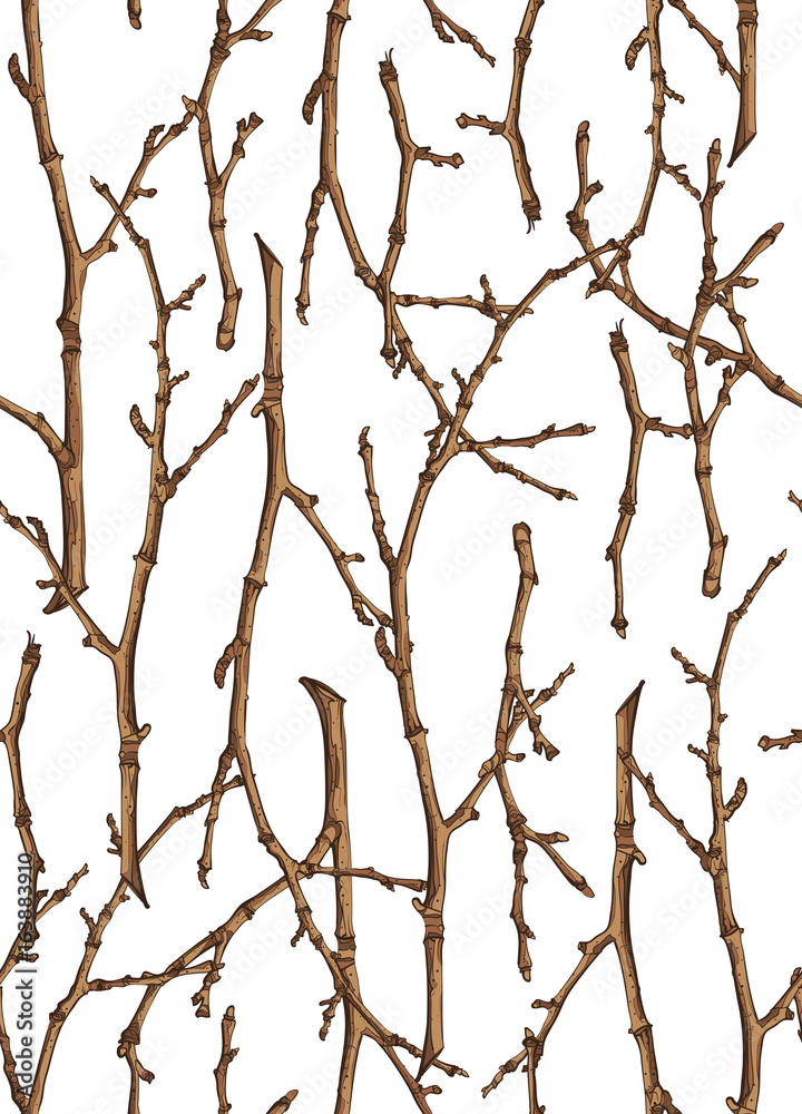 Seamless texture of twigs Seamless texture of twigs