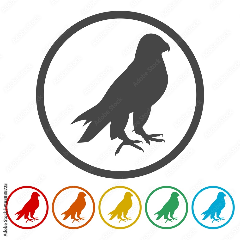 Falcon bird icons set Falcon bird icons set
