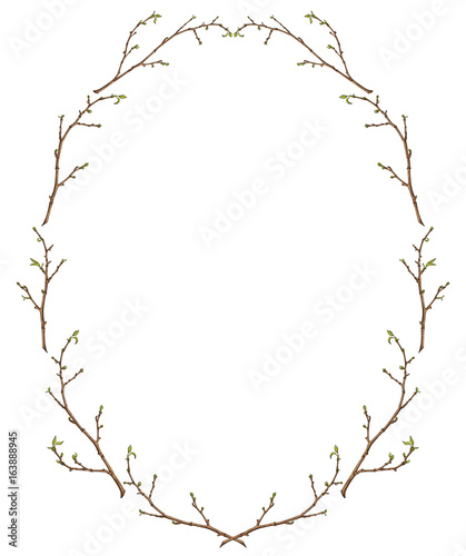 Frame of branches