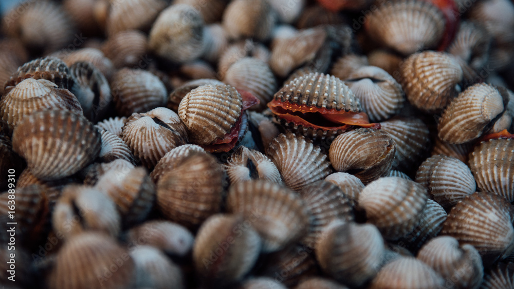 Fresh raw sea cockles clams at seafood market