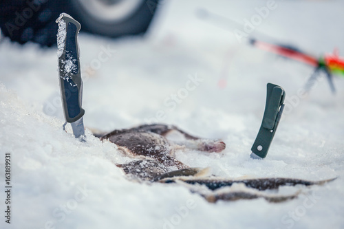 Winter fishing rod and knives photo