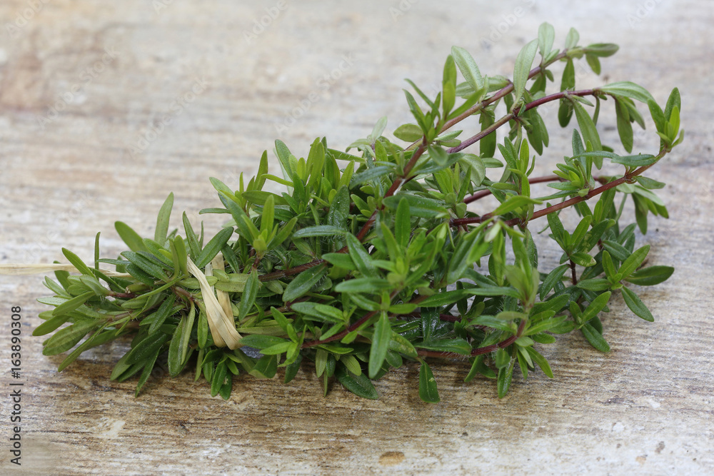 Thymian Zweige geschnitten auf Steinplatte (Thymus) Thymian Zweige geschnitten auf Steinplatte (Thymus)