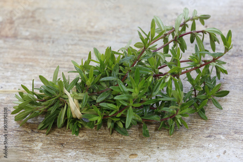 Thymian Zweige geschnitten auf Steinplatte (Thymus) 