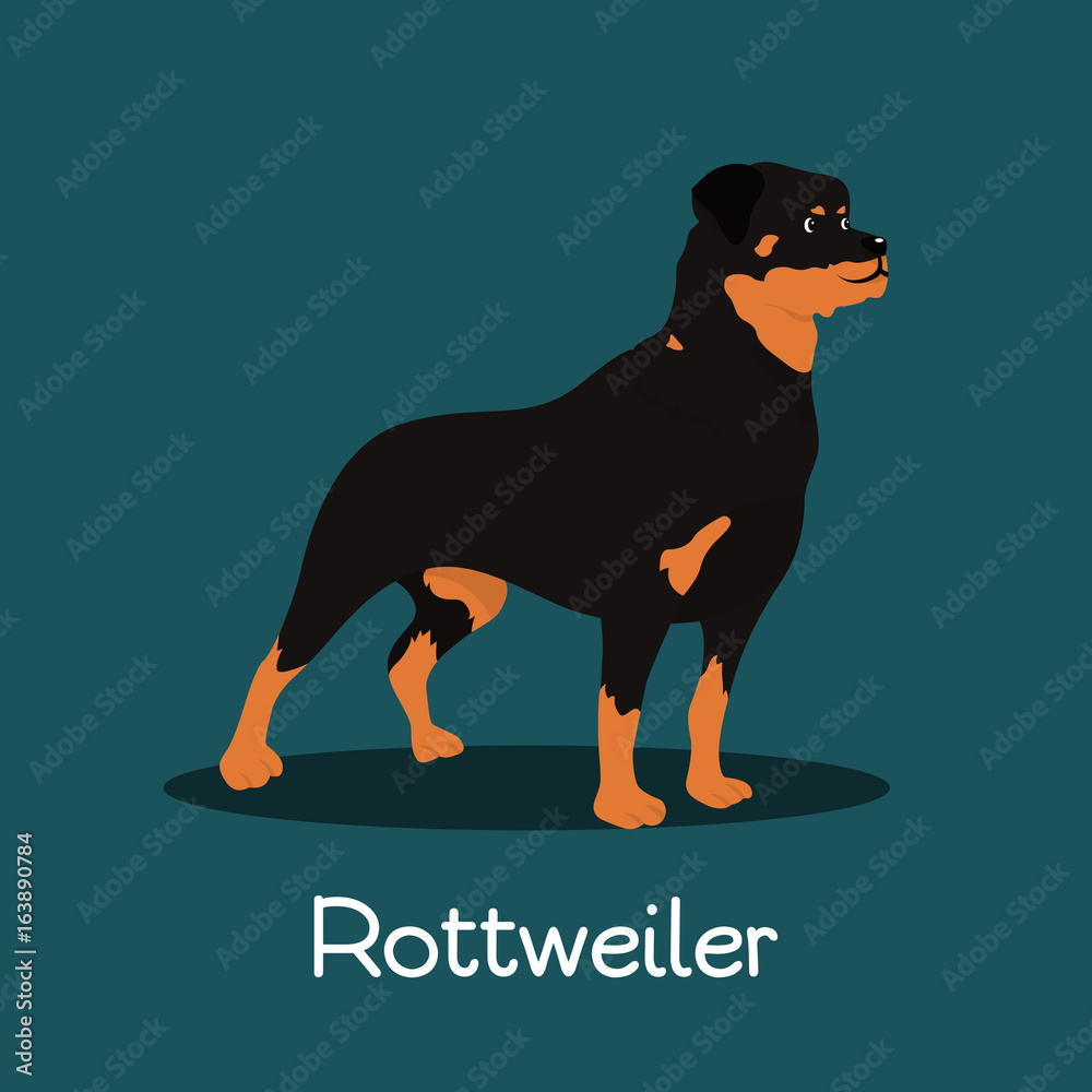 Rottweiler Cartoon