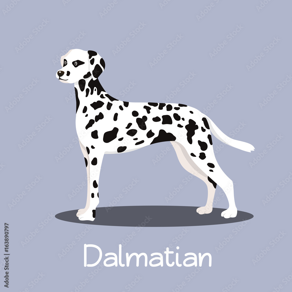 An illustration depicting a cute Dalmatian dog cartoon