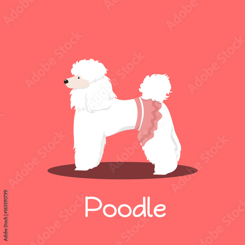 A cute Poodle dog cartoon on pink background.vector