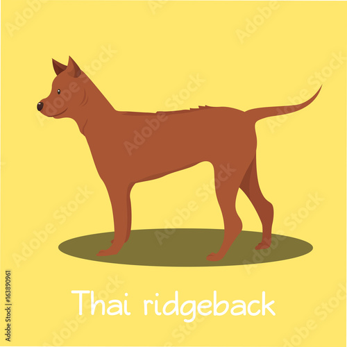An illustration depicting Thai ridgeback dog cartoon.vector