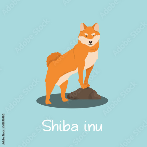 An illustration depicting Shiba inu dog cartoon.vector