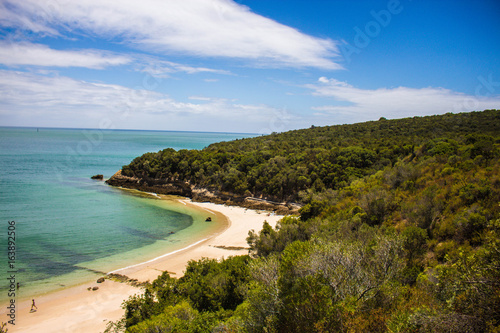 Rabbits beach