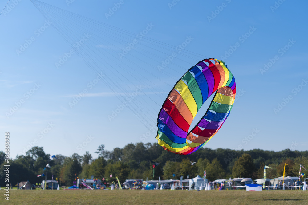 Obraz premium kite in the sky