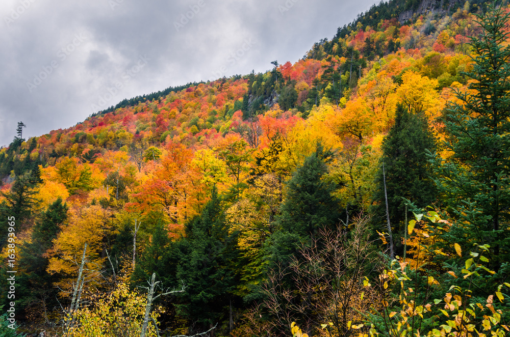 Gorgeous Autumn Colourrs in the Adirondack Mountains on a Rainy Day