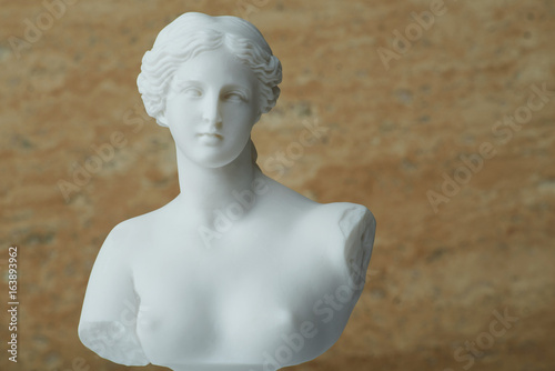 Obraz na plátně Statue of Aphrodite,ancient greek god of beauty.