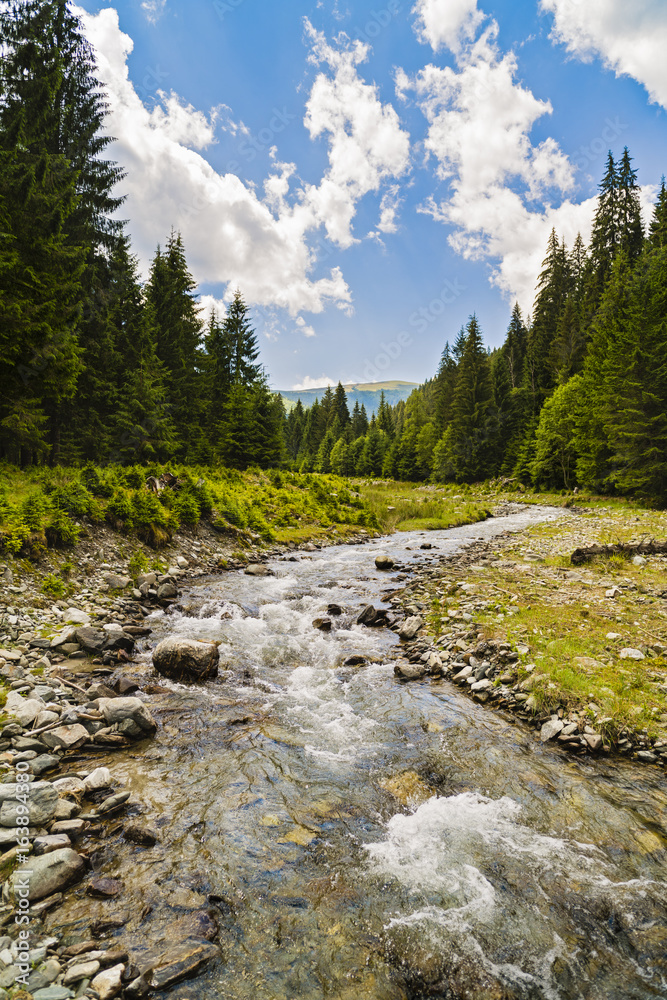 Beautiful scenery with a mountain river in a wild place Beautiful scenery with a mountain river in a wild place
