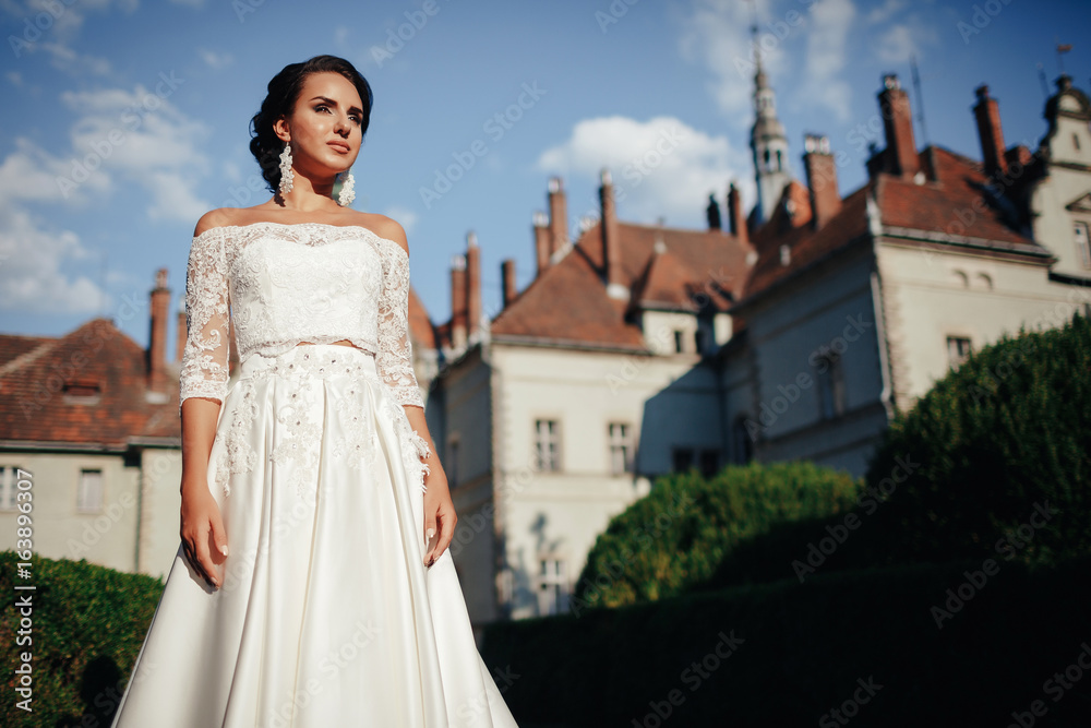 Beautiful bride in a gorgeous wedding dress from the designer against the background of the medieval castle Beautiful bride in a gorgeous wedding dress from the designer against the background of the medieval castle