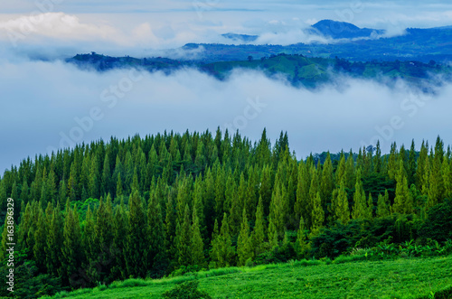 The morning fog Mountain View in Thailand.