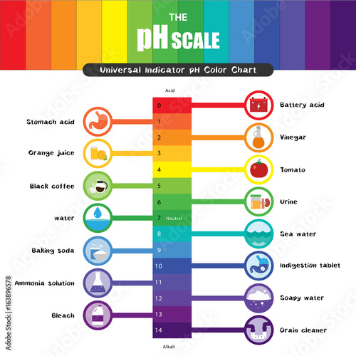 The pH scale Universal Indicator pH Color Chart diagram