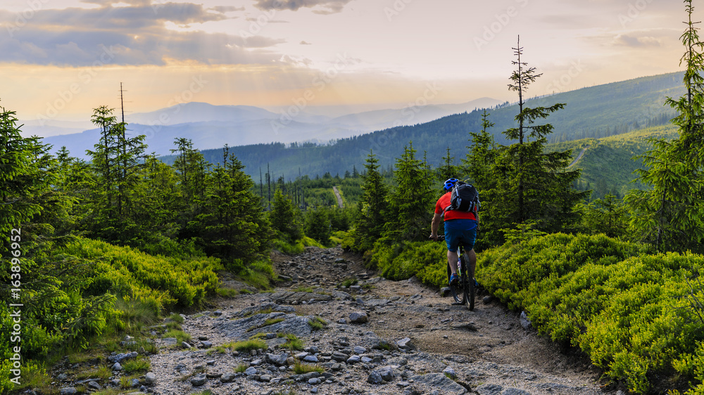 Obraz premium Mountain biker riding on bike in summer mountains forest landscape. Man cycling MTB flow trail track. Outdoor sport activity.