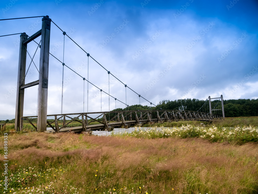 Kong Hans suspension  bridge in Skjern meadows, Denmark