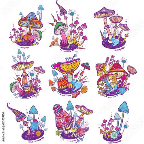 Groups of decorative mushrooms