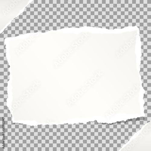 White note, notebook, copybook paper stuck on grey squared background.