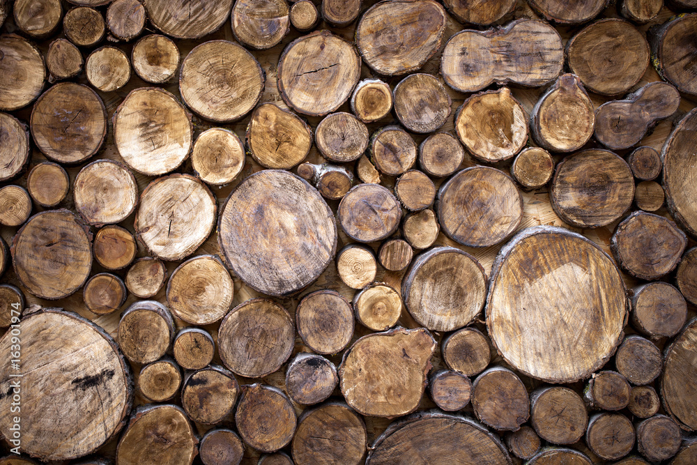 Cross section of tree trunks background. Decoration of cutting tree. Cutting tree trunks placed together for interior decorate. Cross section of tree trunks background. Decoration of cutting tree. Cutting tree trunks placed together for interior decorate.