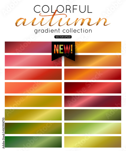 Autumn gradient collection. Color palette. Blurred background, pattern, wallpaper, texture, vector illustration.