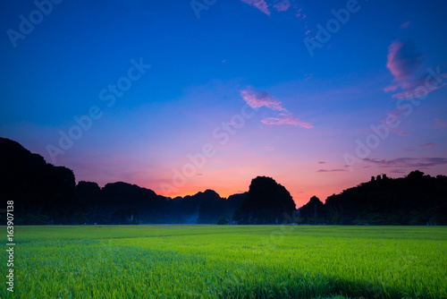 Nature rice paddy field during evening with colorful sky and mountain