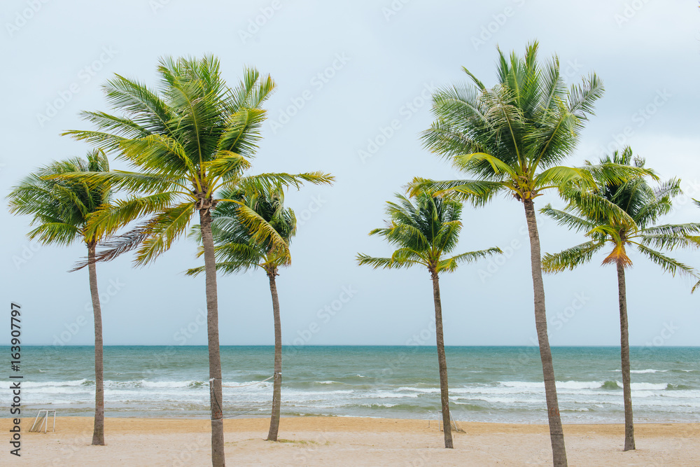 Tropical sea. Coconut trees on the beach.