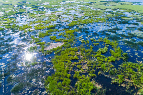 Fototapeta Naklejka Na Ścianę i Meble -  Aerial view on the reservoir of overgrown reeds and duckweed  