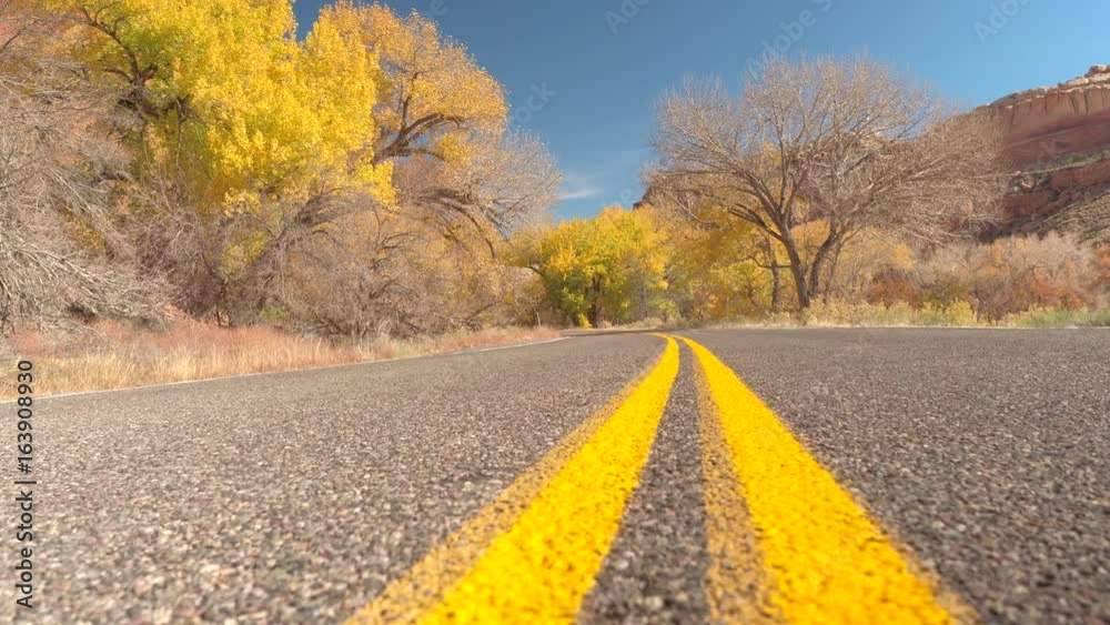 Close up road with yellow line road marking leading trough red rock canyon past stunning bright yellow trees with turning leaves on sunny autumn day