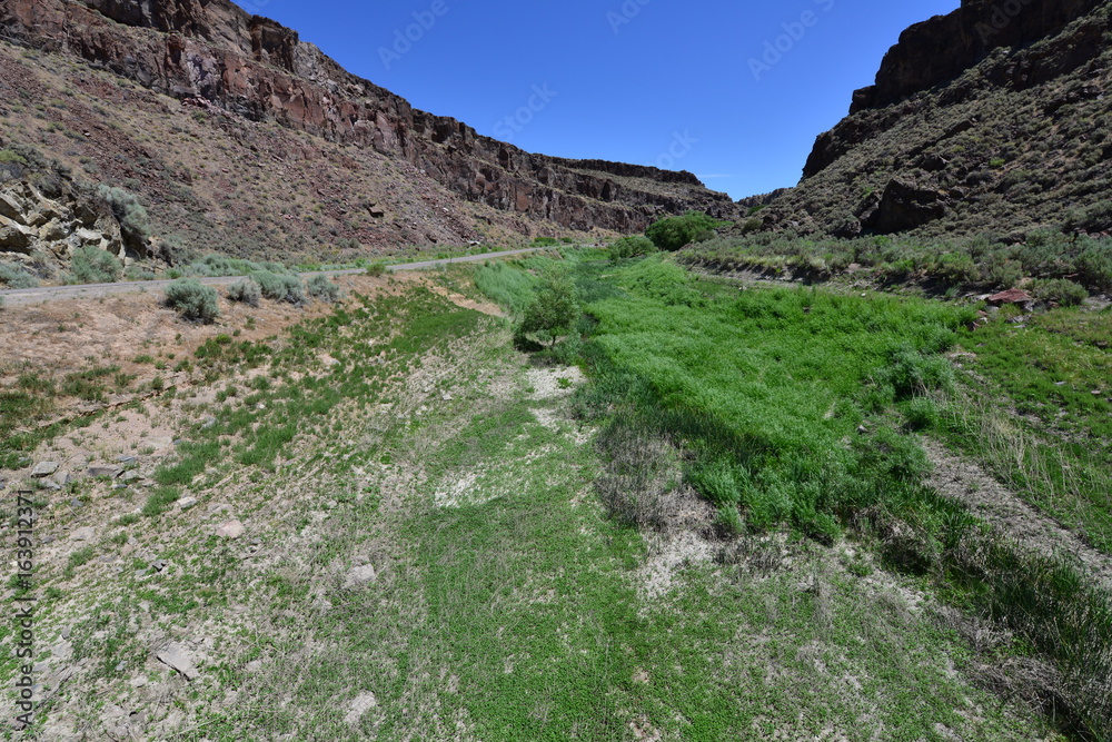 Obraz premium A fertile valley in Echo Canyon in Nevada.