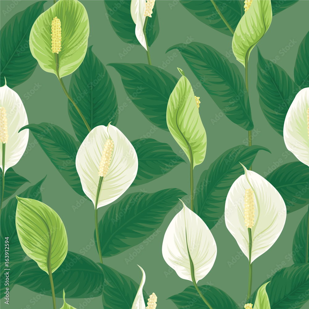 Seamless pattern of white and green anthurium flowers (tailflower, flamingo flower and laceleaf) with leaves on dark green background. Vector set of blooming flower for your design.
