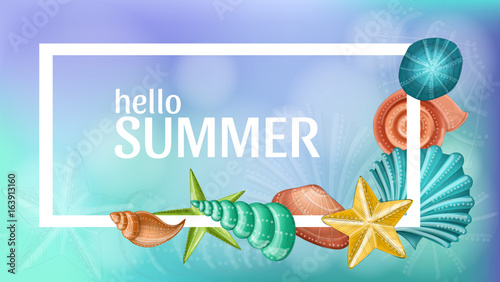 Summer frame with colorful shells and starfish. Vector illustration for travel and vacation design