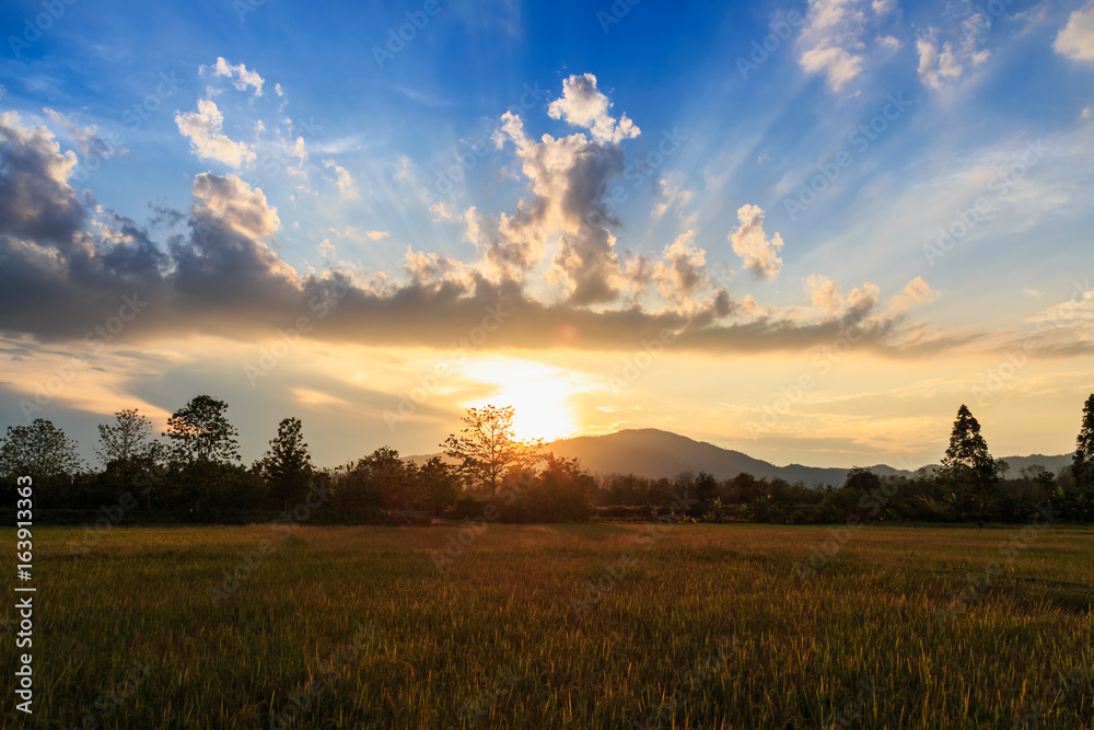 Landscape, sunset sky light  in a field