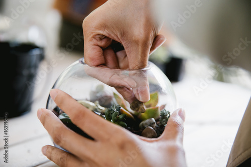 Hands planting terrarium