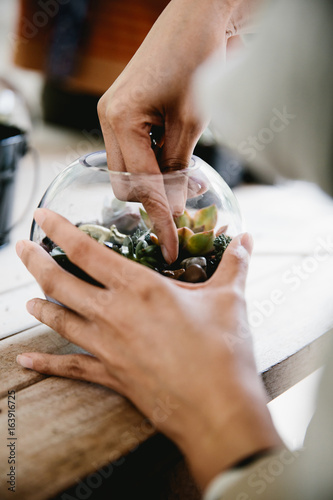 Hands planting terrarium
