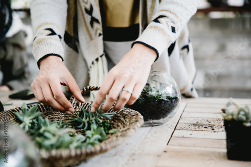 Woman choosing succulent cutting to plant in terrarium