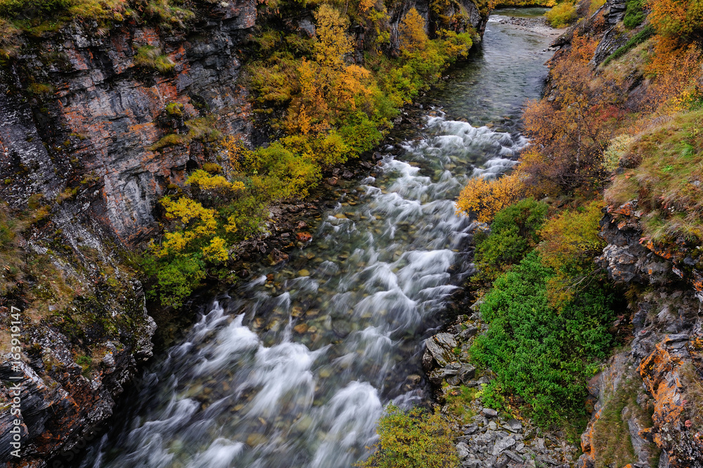 Driva Schlucht im Herbst, Dovrefjell, Norwegen