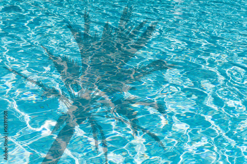palme - schatten im swimming pool, hintergrund